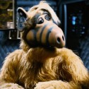 Que sont devenus les acteurs de la série Alf l'extraterrestre