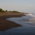 Quelles sont les plus belles plages du Guatemala pour se baigner et le surf