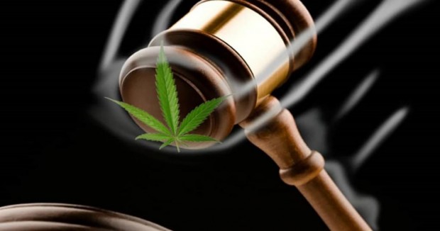 Quels pays ont légalisé le cannabis, et quels sont les prochains ? 