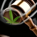 Quels pays ont légalisé le cannabis, et quels sont les prochains ? 